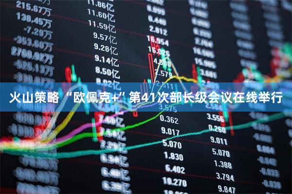 火山策略 “欧佩克+”第41次部长级会议在线举行