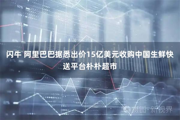 闪牛 阿里巴巴据悉出价15亿美元收购中国生鲜快送平台朴朴超市