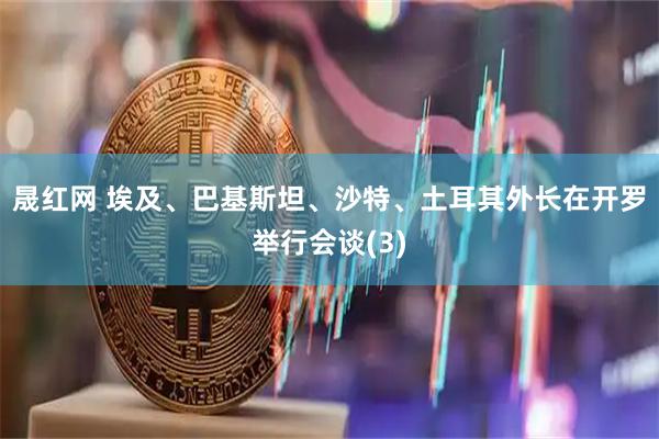 晟红网 埃及、巴基斯坦、沙特、土耳其外长在开罗举行会谈(3)